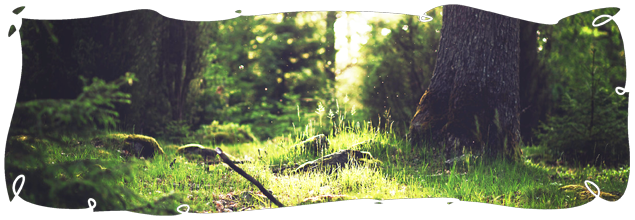 Respect - Valeurs Cuit Lu Cru